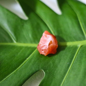 FOCUS. Carnelian Crystal