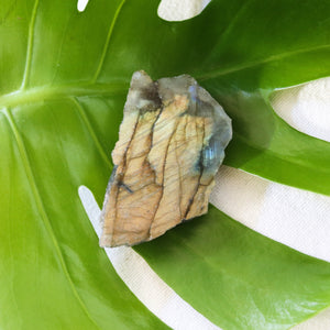 AFROPSYCHONAUT. Labradorite Crystal